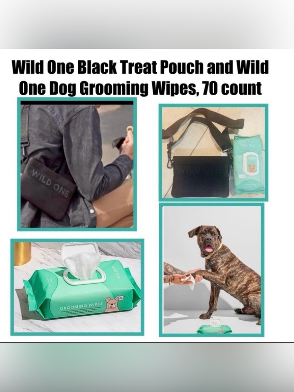 Wild One Black Treat Pouch and Wipes